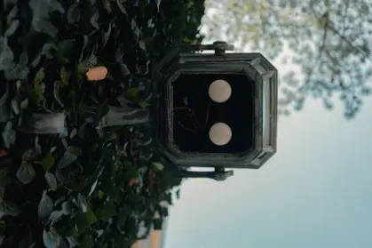 SpinTropolis Cazino Cazinou Aplicație mobilă